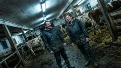 Kort historia: På en regnig gård sa mitt barn något som förändrade hela dagen