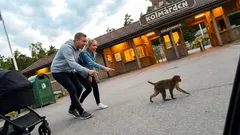 Kort berättelse: Skämtet jag alltid drog kom plötsligt ikapp mig en sommardag