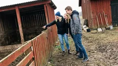 Kort berättelse: Sommaren hos mormor slutade alltid med en märklig regel i ladugården