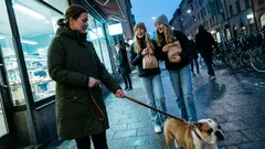 Kort berättelse: Utanför bageriet sa hon något om Bosse som fick mig att stanna upp