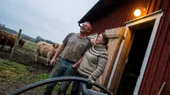 Kort berättelse: När huset skakade i november sa pappa något som ändrade allt