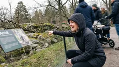 Kort novell: Min son ställde en fråga vid apburen – och allt blev tyst