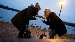 Kort berättelse: Jag åkte till Hornborgasjön för att tänka klart – något oväntat hände