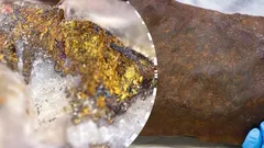 Man förvarade unik, 4,6 miljarder år gammal skatt hemma i åratal – trodde att det var guld