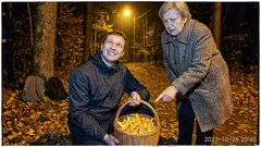 Kort berättelse: Jag följde en röst i skogen och kom hem med något oväntat