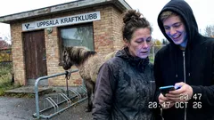 Kort berättelse: Jag trodde jag var ensam på gymmet – tills något väntade vid cykelstället