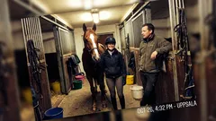 Kort berättelse: Jag bokade en ridlektion som vuxen – och det förändrade mer än jag trodde