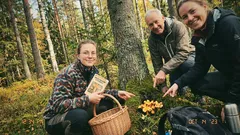 Kort berättelse: Jag var alltid den som ”visste” – tills den där kvällen i september