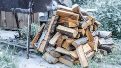 Så tänder du blöta vedträn på 2 minuter i alla väder – enkel metod utan köpt tändvätska