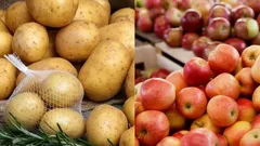 Förvara potatis tillsammans med äpplen? En vetenskaplig upptäckt som kommer att skydda dina lager