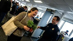 Kort novell: Jag bar två krukor till Finlandsbåten – och allt stannade i kön