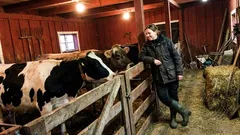 Kort historia: Jag gick ut i ladugården för att få tyst – då hände något