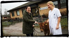 Kort berättelse: Läkaren ställde en enkel fråga, och min hjärna blinkade tomt