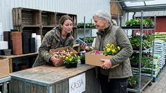 Kortnovell: Ett ord vid kassan följde mig långt efter att jag gått