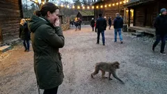 Kort berättelse: På Skansen hörde jag plötsligt pappas röst igen