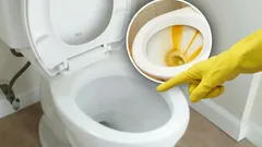 Kalkavlagringar i toaletten försvinner spårlöst: släpp i tabletten som alla har hemma